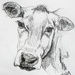 Cow by harveyzone