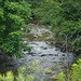 Small creek by larrysphotos