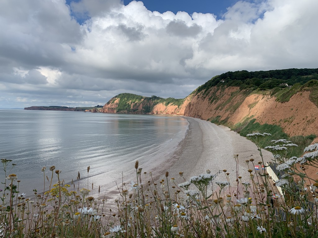 Sidmouth Bay by tinley23