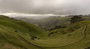 19th Jul 2019 - Misty Morning at Awhitu