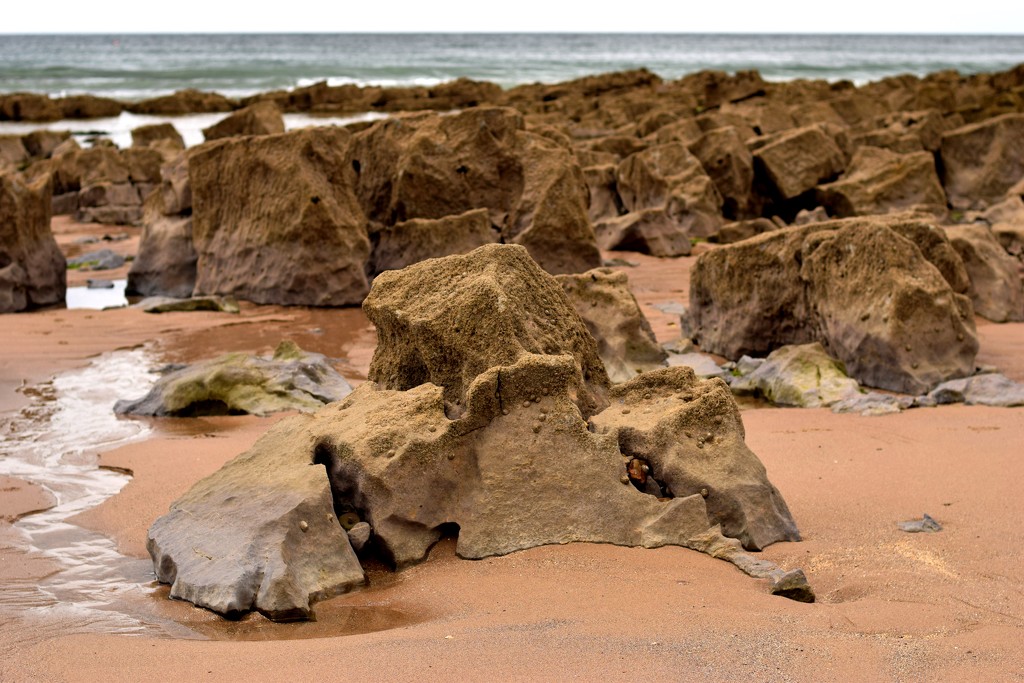 seaside rock by christophercox