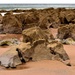 seaside rock by christophercox