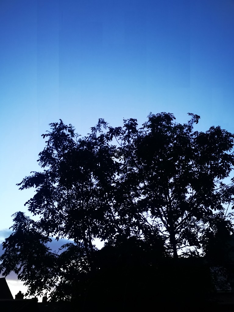 This evening's sky by plainjaneandnononsense