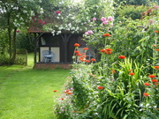 8th Jul 2019 - Another picture of our garden .