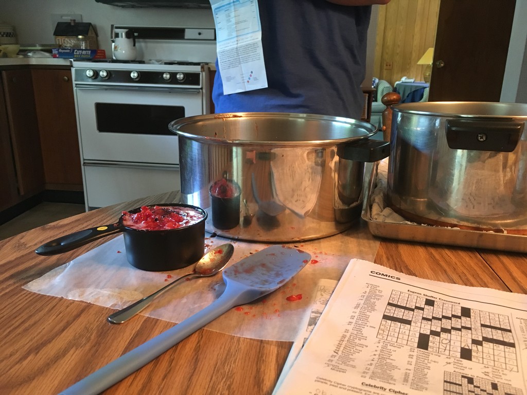 let the jam-making begin! by wiesnerbeth