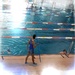 Dernier cours de natation by helenejanin