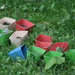 No flowers planted anywhere - just containers by bruni