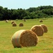 Make Hay While the Sun Shines by grannysue
