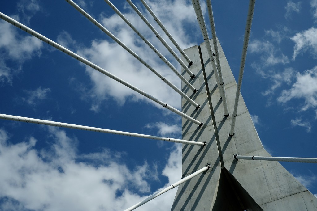 Bridge by vincent24