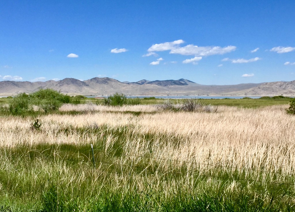 Clark Canyon Reservoir #13 by jetr