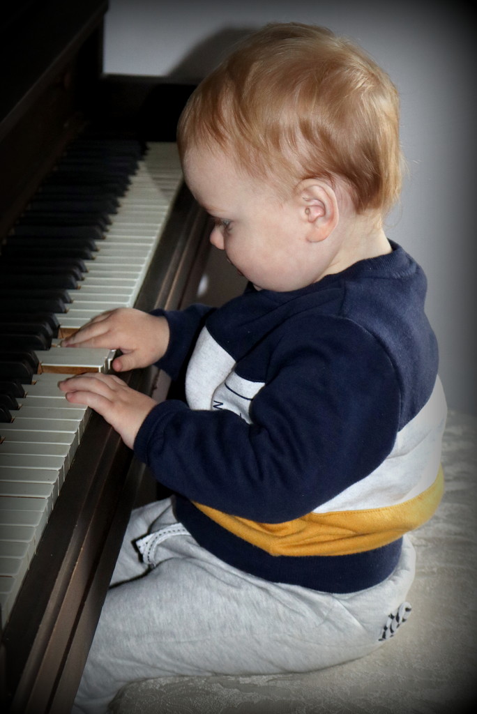 Our own little Beethoven by gilbertwood