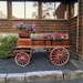 Flower Cart by wilkinscd