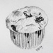 Blueberry Muffin by harveyzone