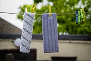 14th Jul 2019 - Hanging Out to Dry