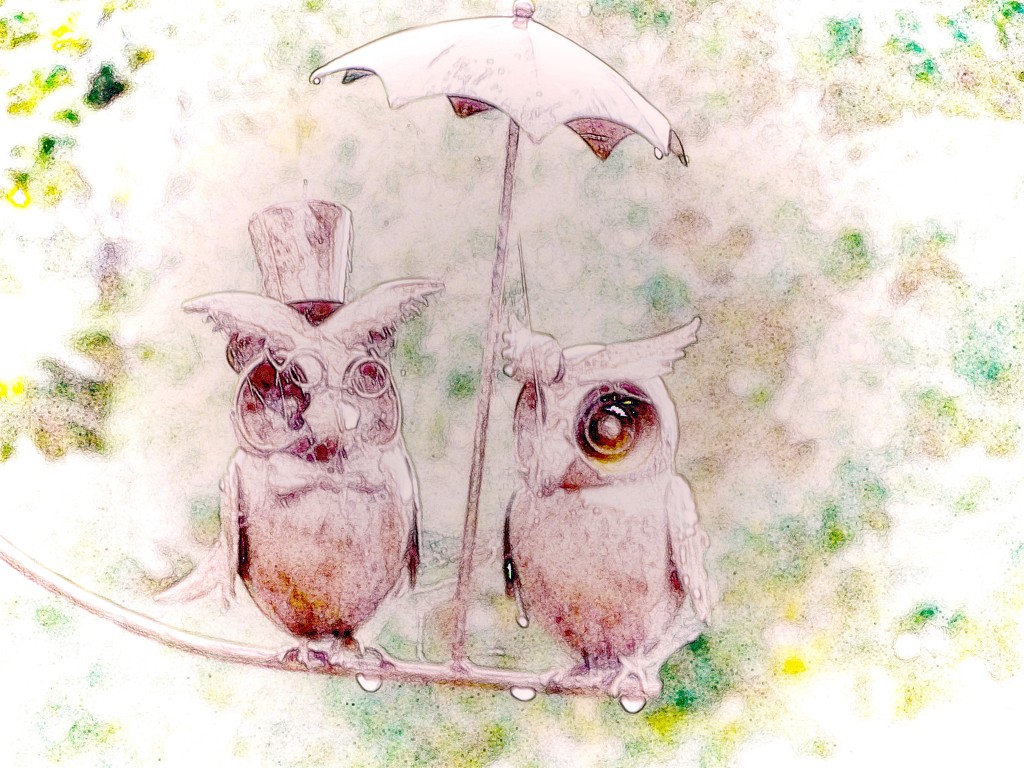 The Owl Couple by maggiemae