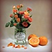 Orange And Tangerine. by wendyfrost