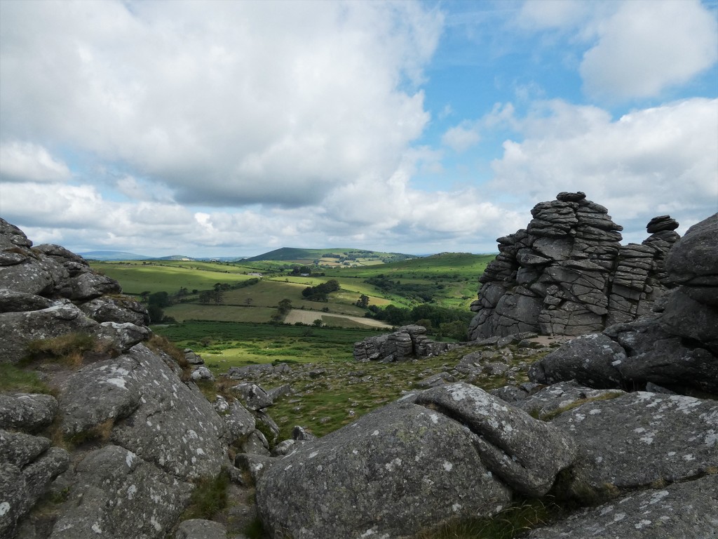 View from Hound Tor by julienne1