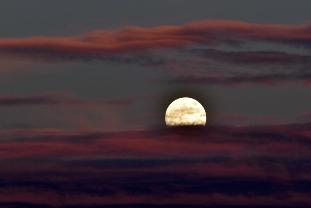 Full Moon Rising by genealogygenie