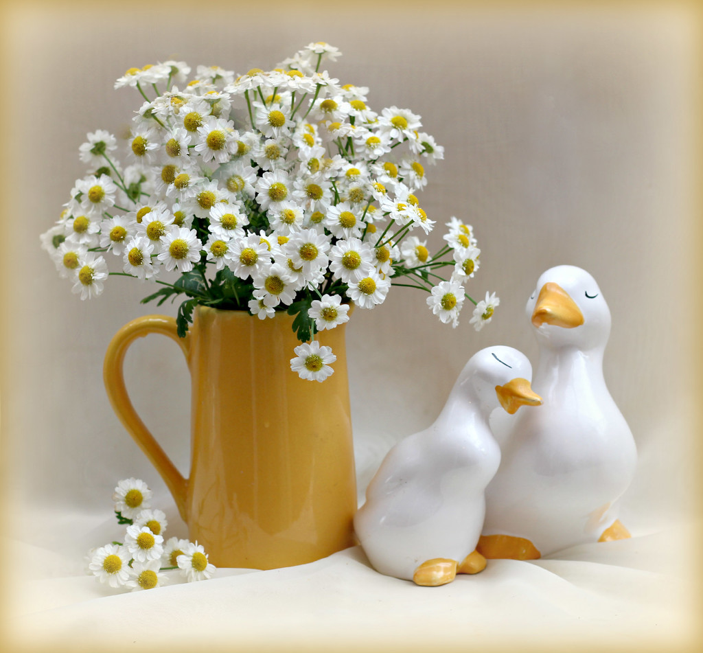 Ducks And Daisies by wendyfrost