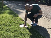 16th Jul 2019 - Cleaning the Plaque