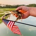 American crab 🦀  by mdoelger