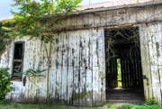 16th Jul 2019 - Old barn
