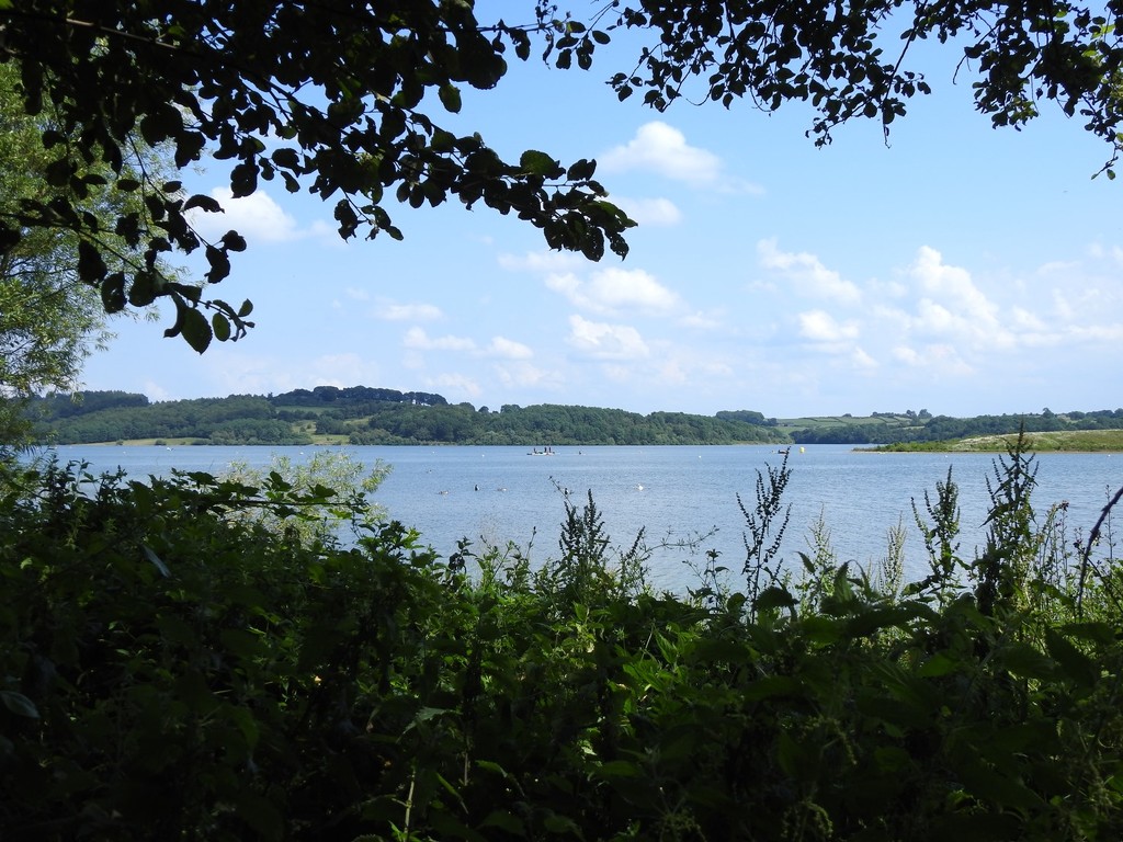 Carsington Water by roachling