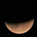 Half blood moon by julienne1