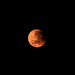 Red moon by sugarmuser