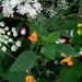Woodland bouquet by randystreat