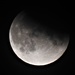  Lunar Eclipse  by susiemc