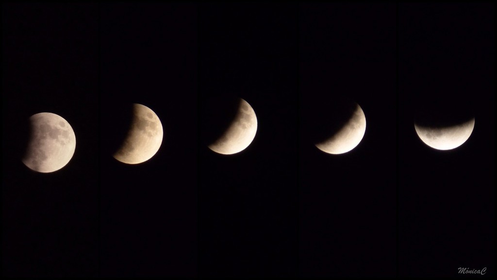 Lunar eclipse by monicac