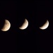 Lunar eclipse by monicac