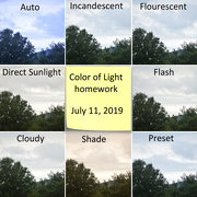 17th Jul 2019 - AYWMC Week 15, Color of Light