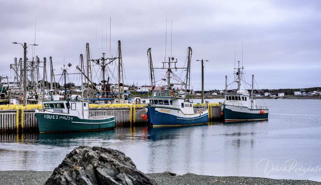 Fishing Village in NFLD by dridsdale
