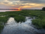 18th Jul 2019 - Marsh along the Ashley River at sunset, Charleston 