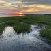 Marsh along the Ashley River at sunset, Charleston  by congaree