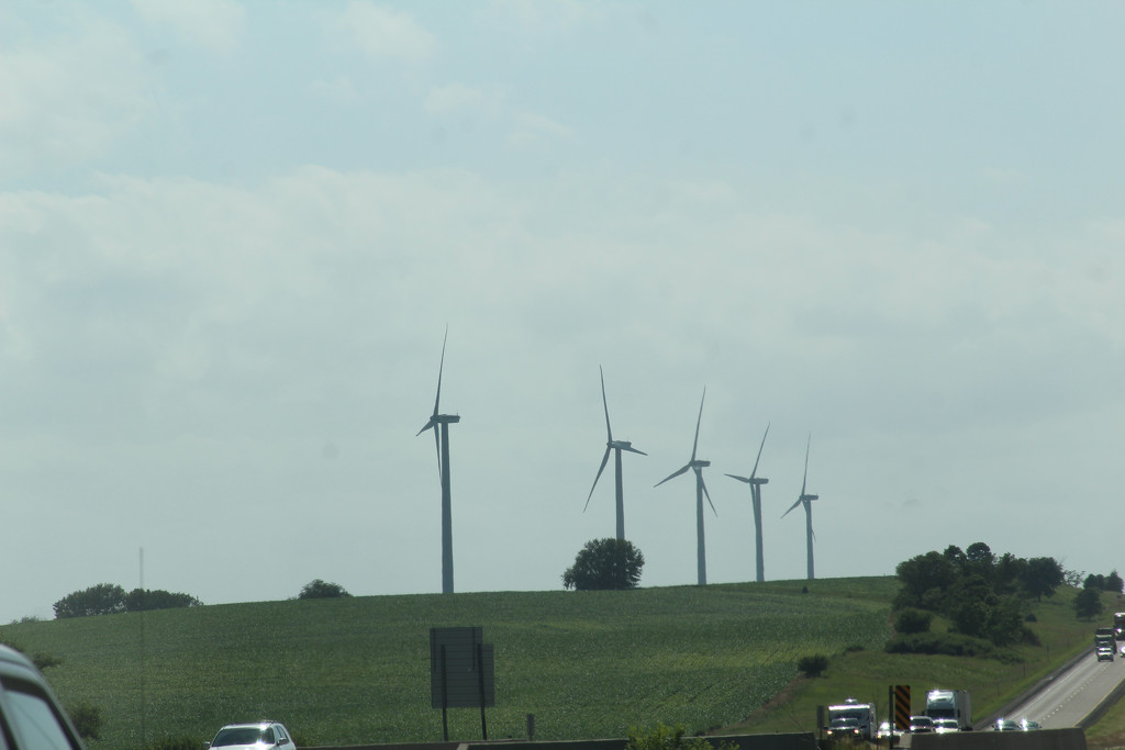 0628_2099 Windmills by pennyrae