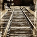 On the Tracks by olivetreeann