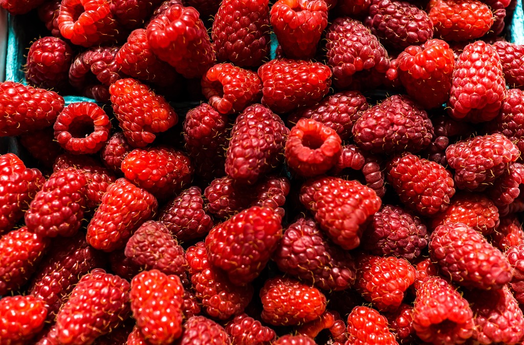 It’s raspberry time in Runcorn by cristinaledesma33