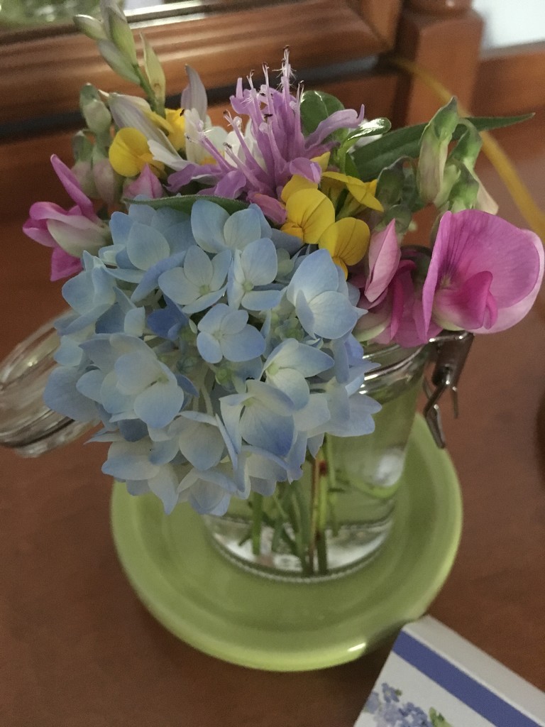 flowers my mom left on my dresser today by wiesnerbeth