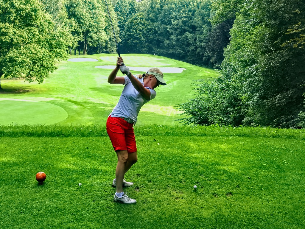 Teeing off at Schloss Klingenburg  by ludwigsdiana