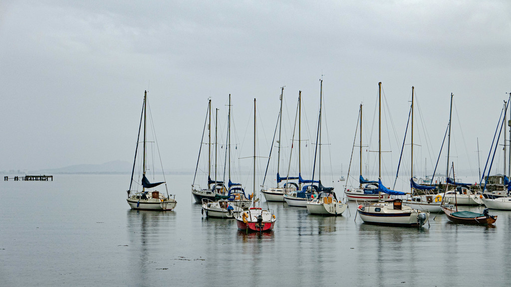 Wet evening at the harbour by frequentframes