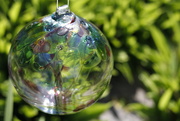20th Jul 2019 - Glass globe in the garden