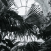 Kew Gardens Framed by brigette