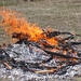 Burning Bonfire by kgolab