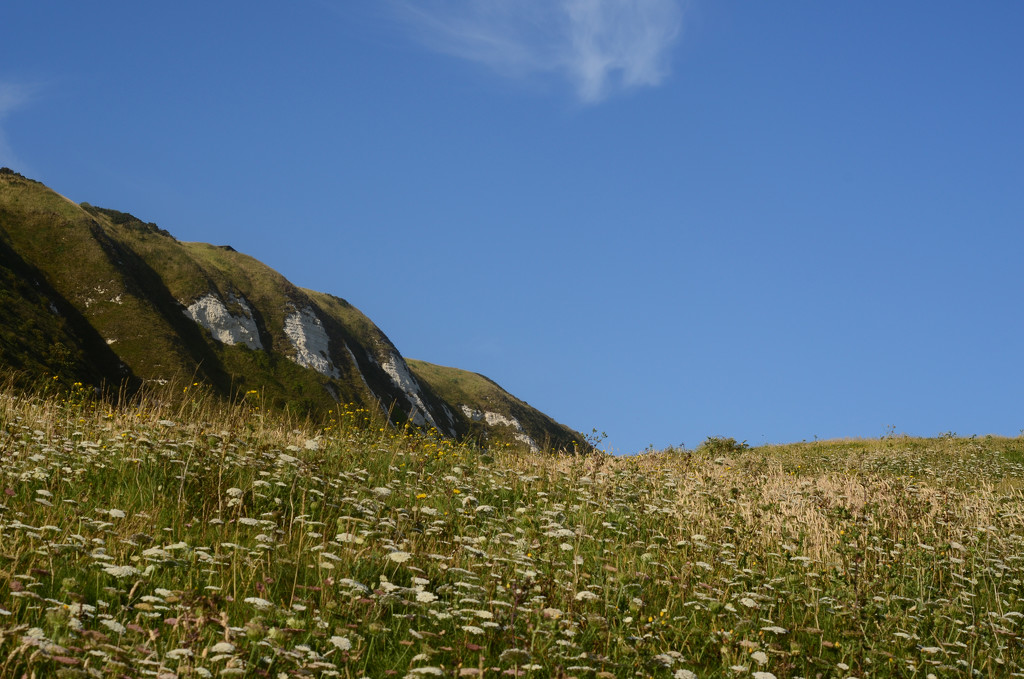 Cliffs and Cow Parsley by fbailey