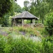  Gooderstone Water Gardens, Norfolk by susiemc