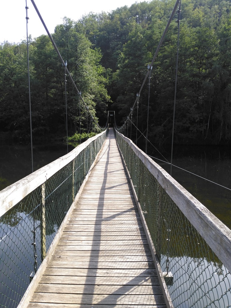 Bridge over the Dyje by gabis