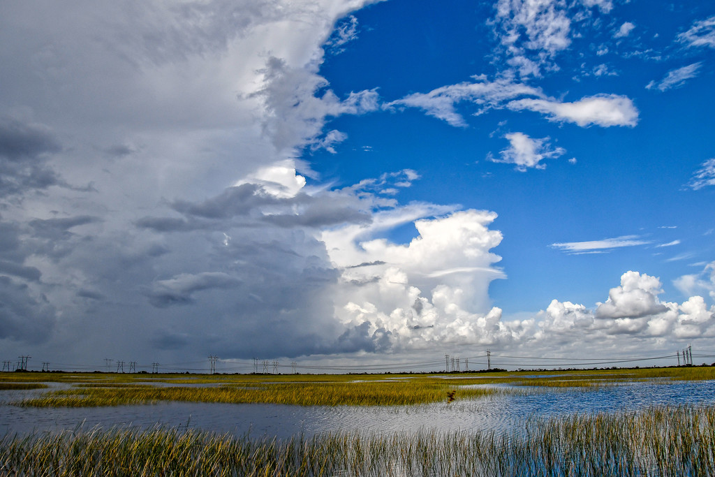 Storms building over the Everglades by danette